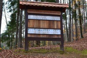 GOZDNA UČNA POT TROMEJNIK 9